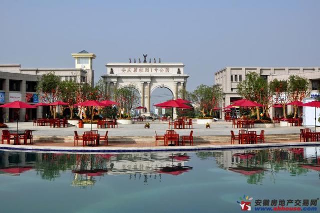 碧桂园1号公园 19/24