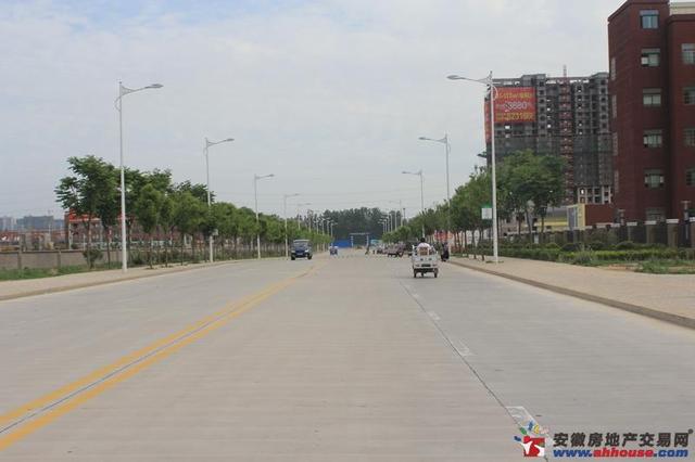 项目东侧的科技路 4/4