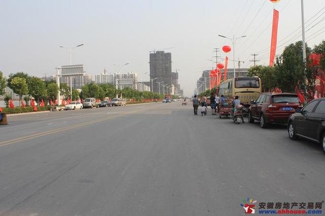 项目北侧的杜仲路 5/5