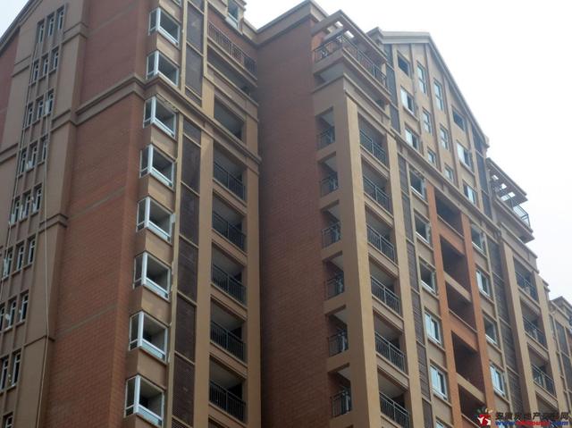 南湖春城实景图 4/5