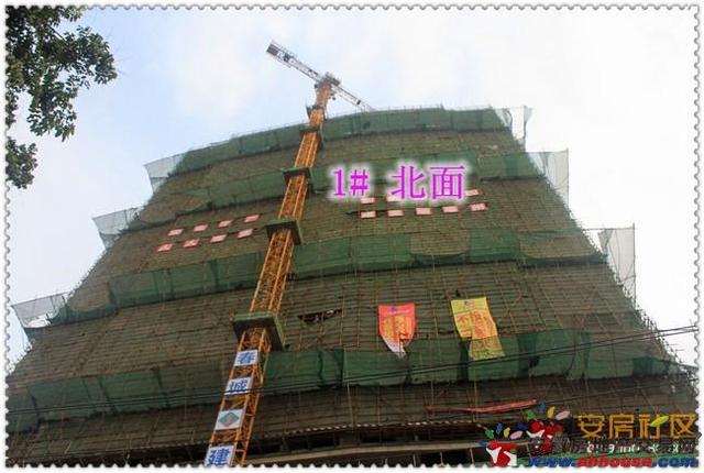 广齐城市广场实景图 1/1