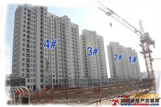 项目一期实景图 4/6