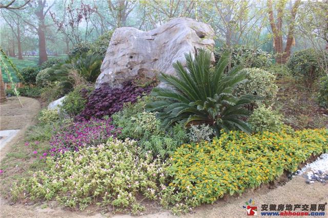 周边环境图 11/13