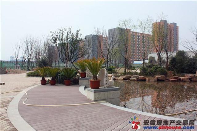 小区内实景 1/11