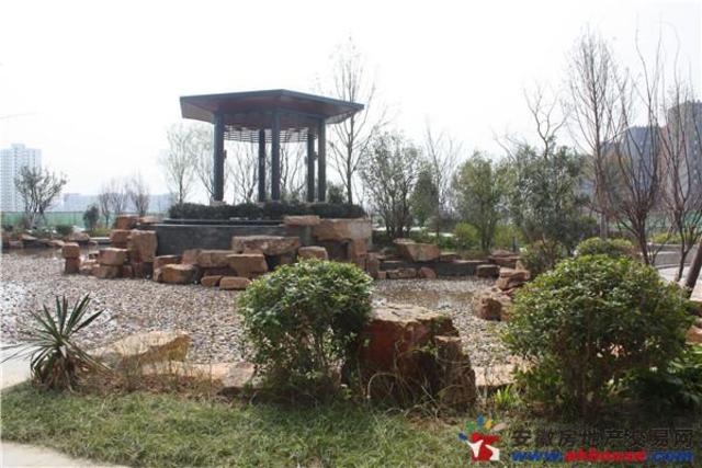 小区内实景 2/11