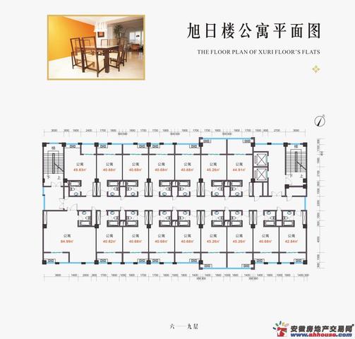 旭日楼公寓6-9层平面图 15/20