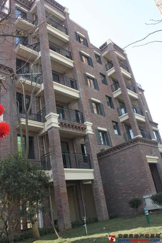 池州徽商江南世家实景图 5/7