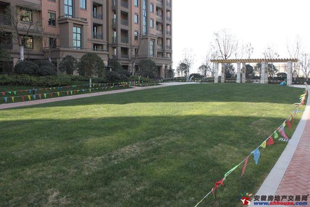 池州绿洲桂花城B组团实景 12/17