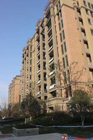 池州绿洲桂花城B组团实景 10/17