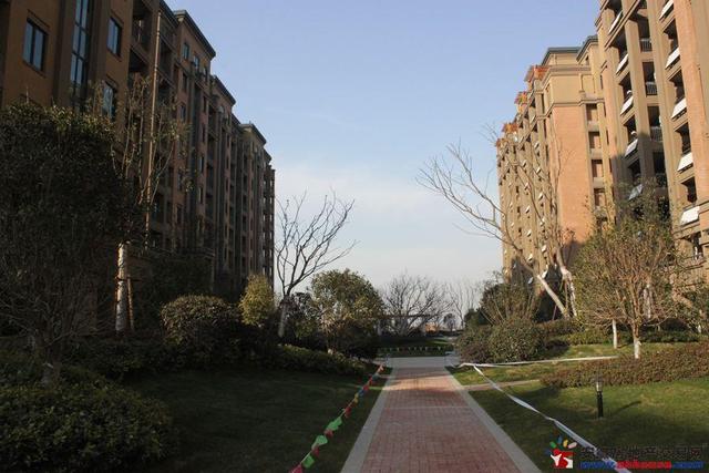 池州绿洲桂花城B组团实景 11/17