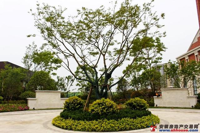 售楼部周边环境 15/37