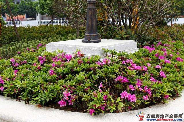 售楼部周边环境 18/37