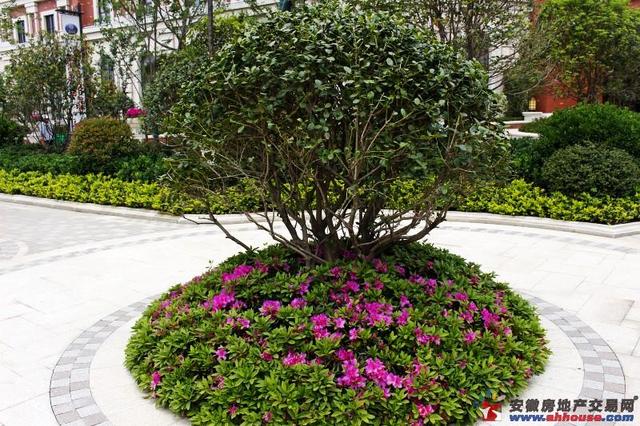 售楼部周边环境 17/37