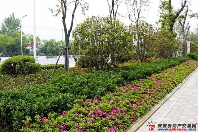 售楼部周边环境 16/37