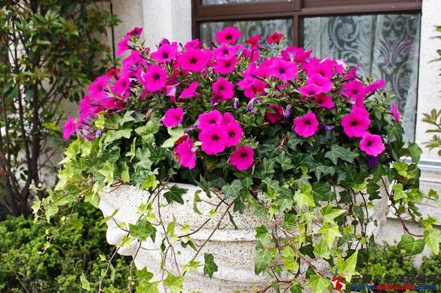 售楼部周边环境 19/37