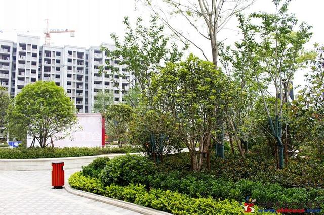 售楼部周边环境 20/37