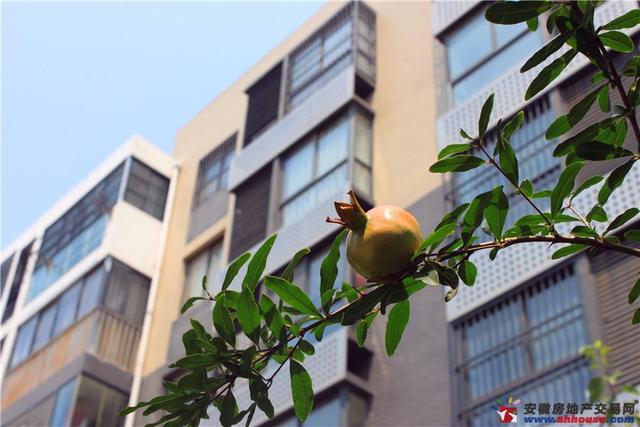 湖畔御景实景图 10/12