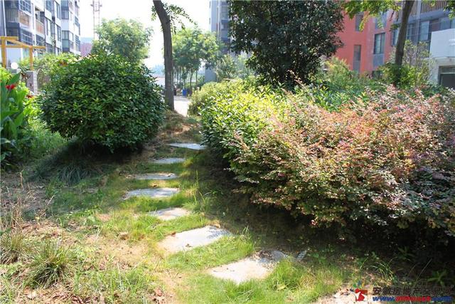 湖畔御景实景图 11/12