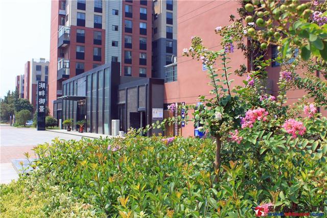 湖畔御景实景图 12/12