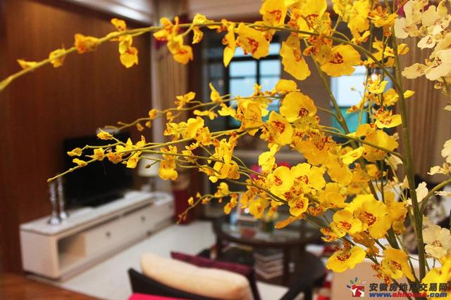 安邦财富中68㎡公寓 20/29