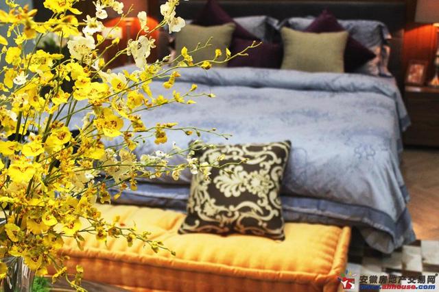 安邦财富中48㎡公寓 13/29