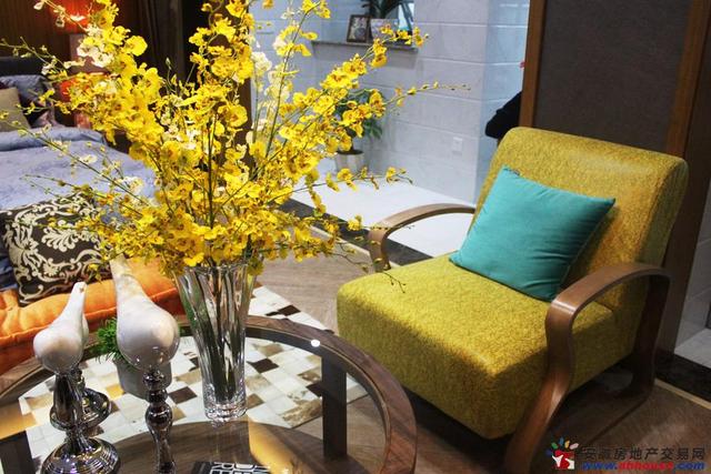 安邦财富中48㎡公寓 10/29