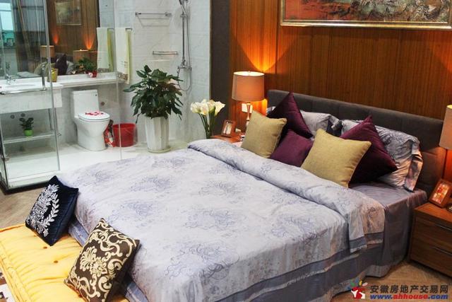 安邦财富中48㎡公寓 6/29