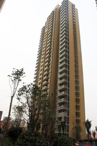 金冠紫园5# 11/21