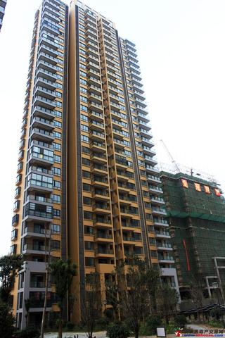 金冠紫园4# 10/21