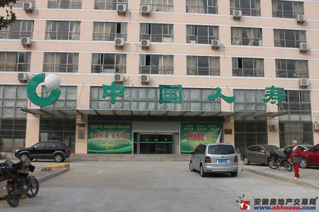 人寿保险公司 4/6