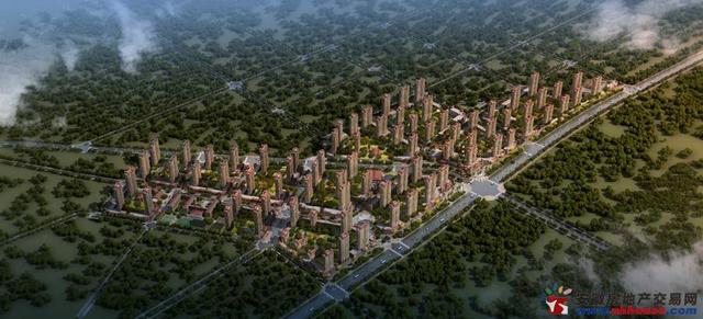 大鸟瞰日景 6/14