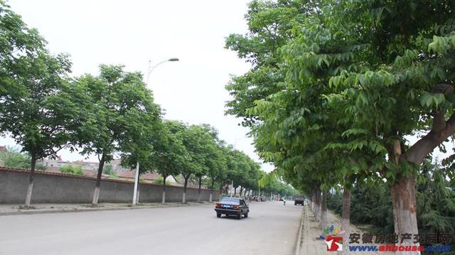 项目附近环境 9/9