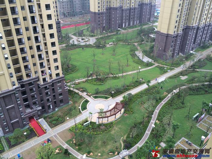 小区实景 15/17