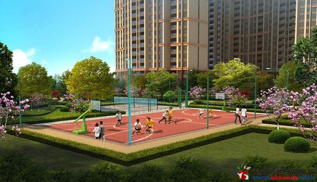 运动场效果图 4/14