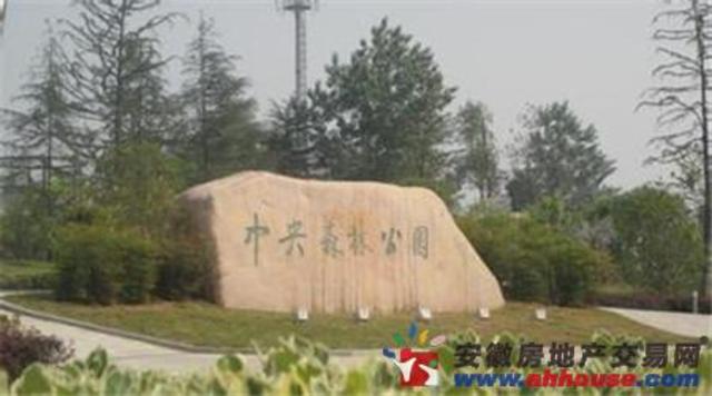 中央森林公园 1/3