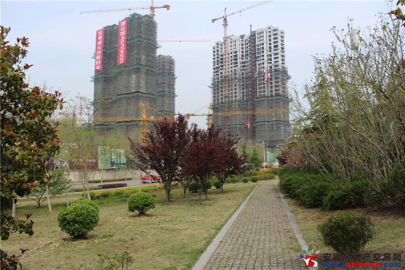 项目周边环境图 2/7