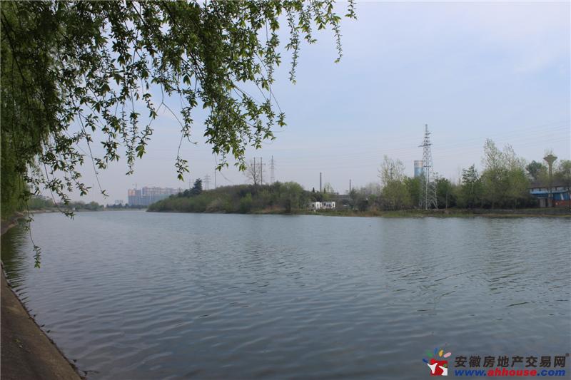 项目周边环境图 7/7