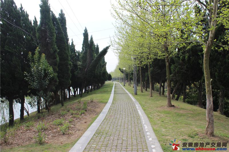 项目周边环境图 5/7