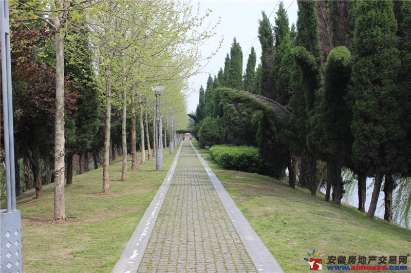 项目周边环境图 4/7