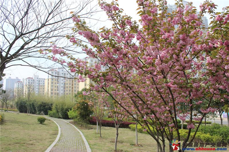 项目周边环境图 1/7