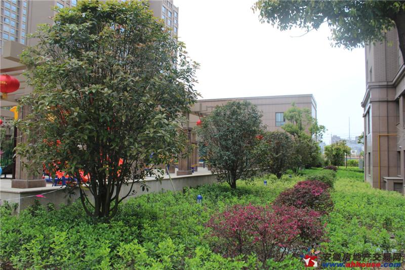 小区环境 2/6
