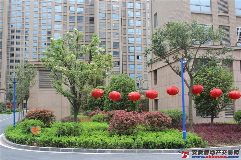 小区环境 3/6