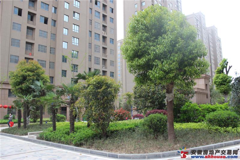 小区环境 5/6