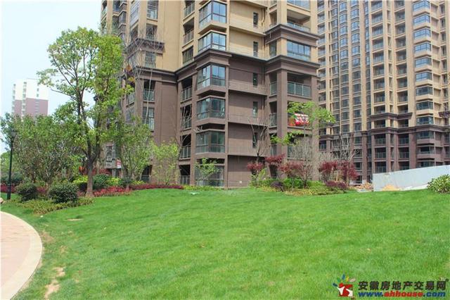凤凰花园城环境图 2/5