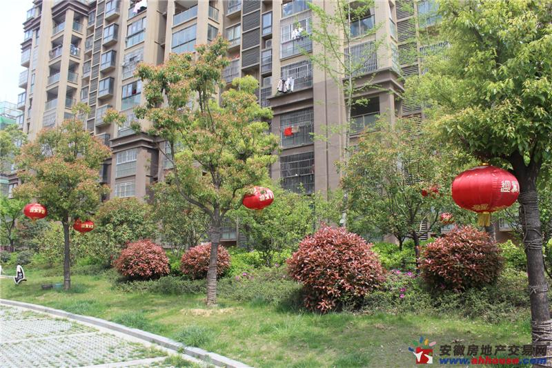 凤凰花园城环境图 5/5
