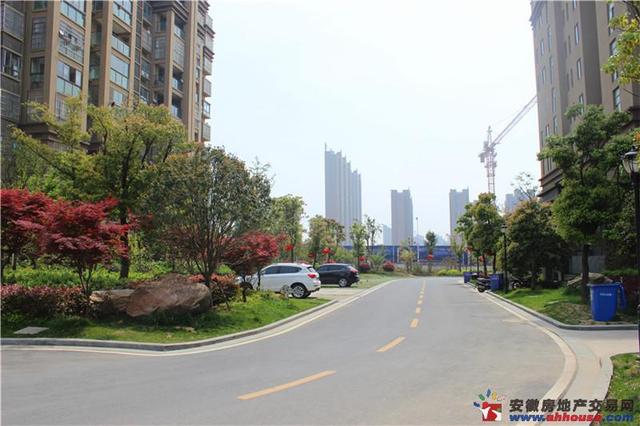 凤凰花园城实景图 3/11