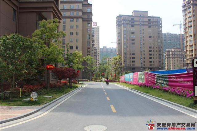 凤凰花园城实景图 7/11