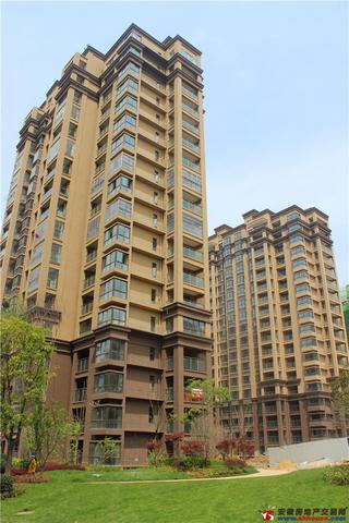 凤凰花园城实景图 1/11