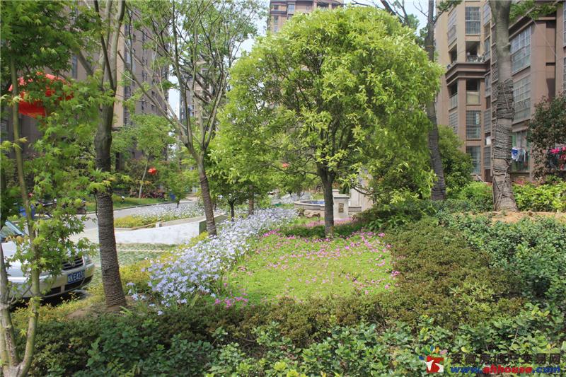 凤凰花园城环境图 4/5