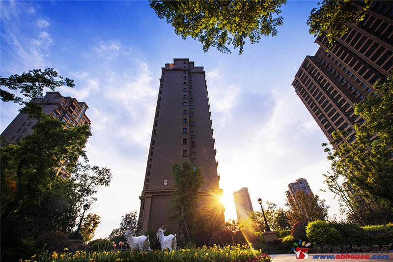 丰泰卡地亚湾实景图 13/14